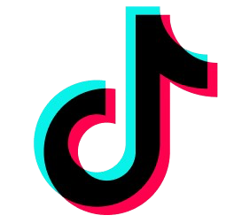 tiktok ikon
